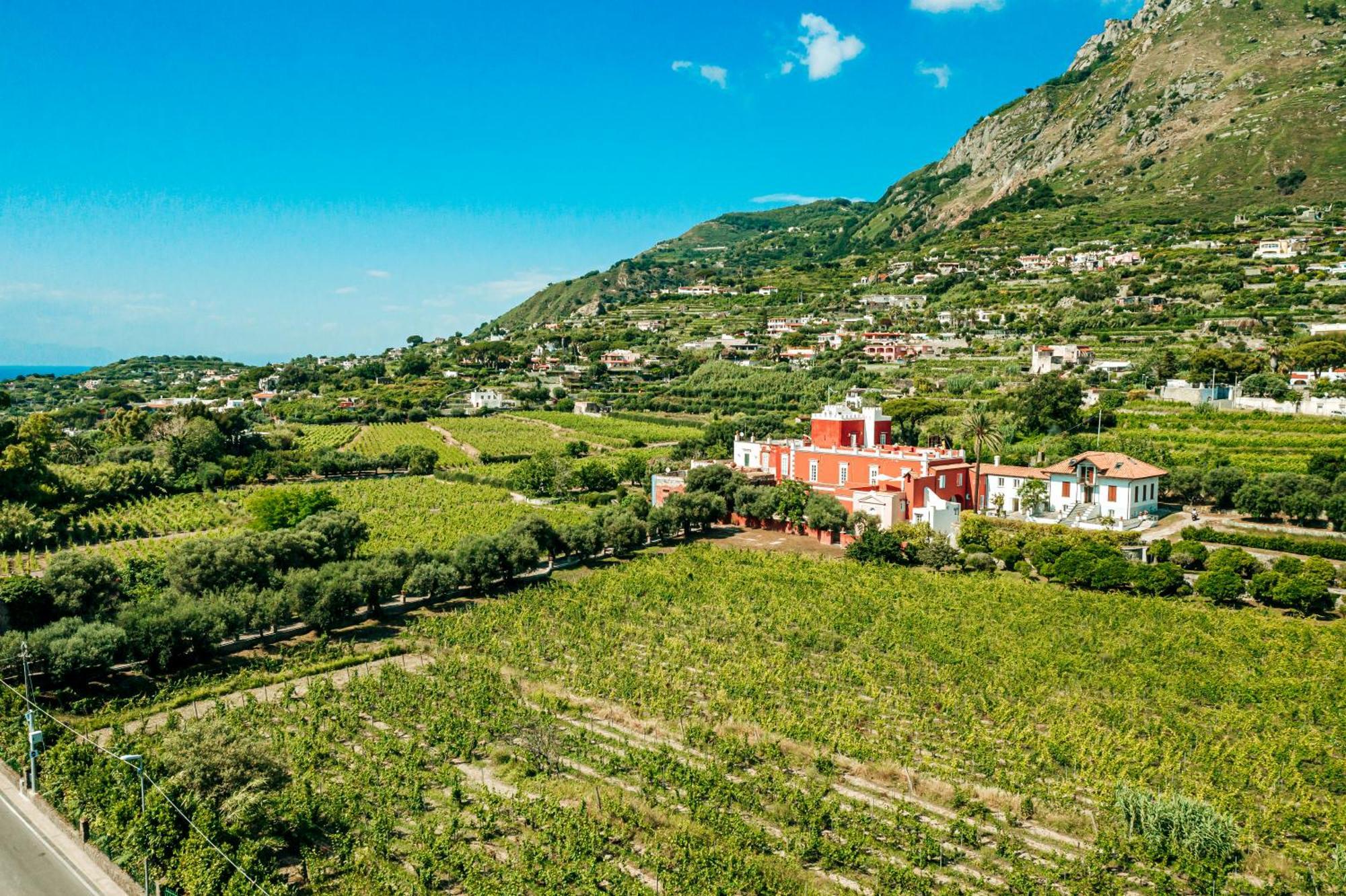 Tenuta Calitto Wine Resort E Spa Ísquia Exterior foto