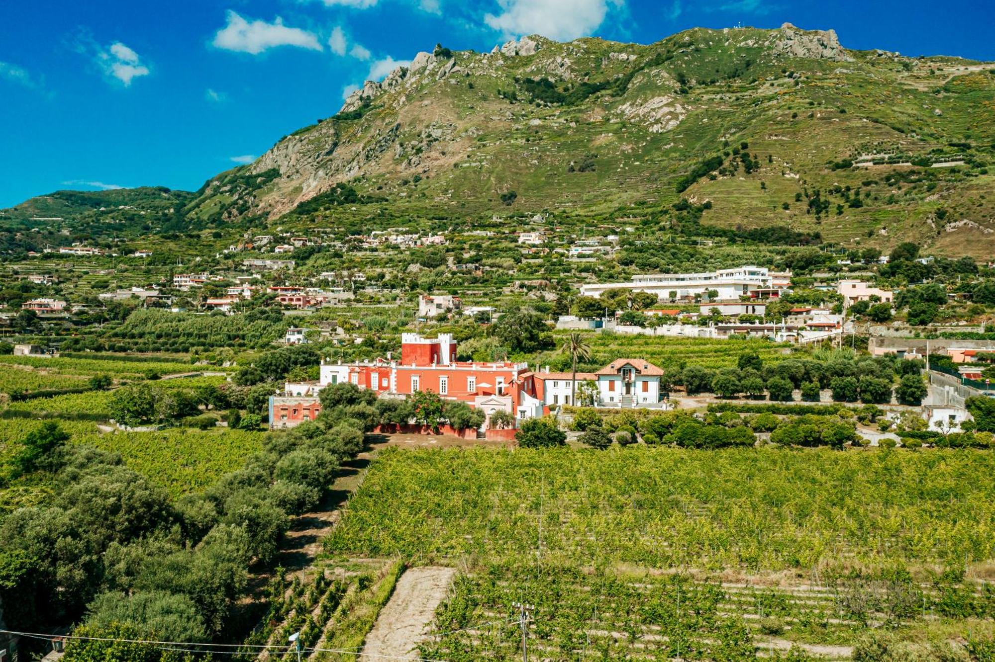 Tenuta Calitto Wine Resort E Spa Ísquia Exterior foto
